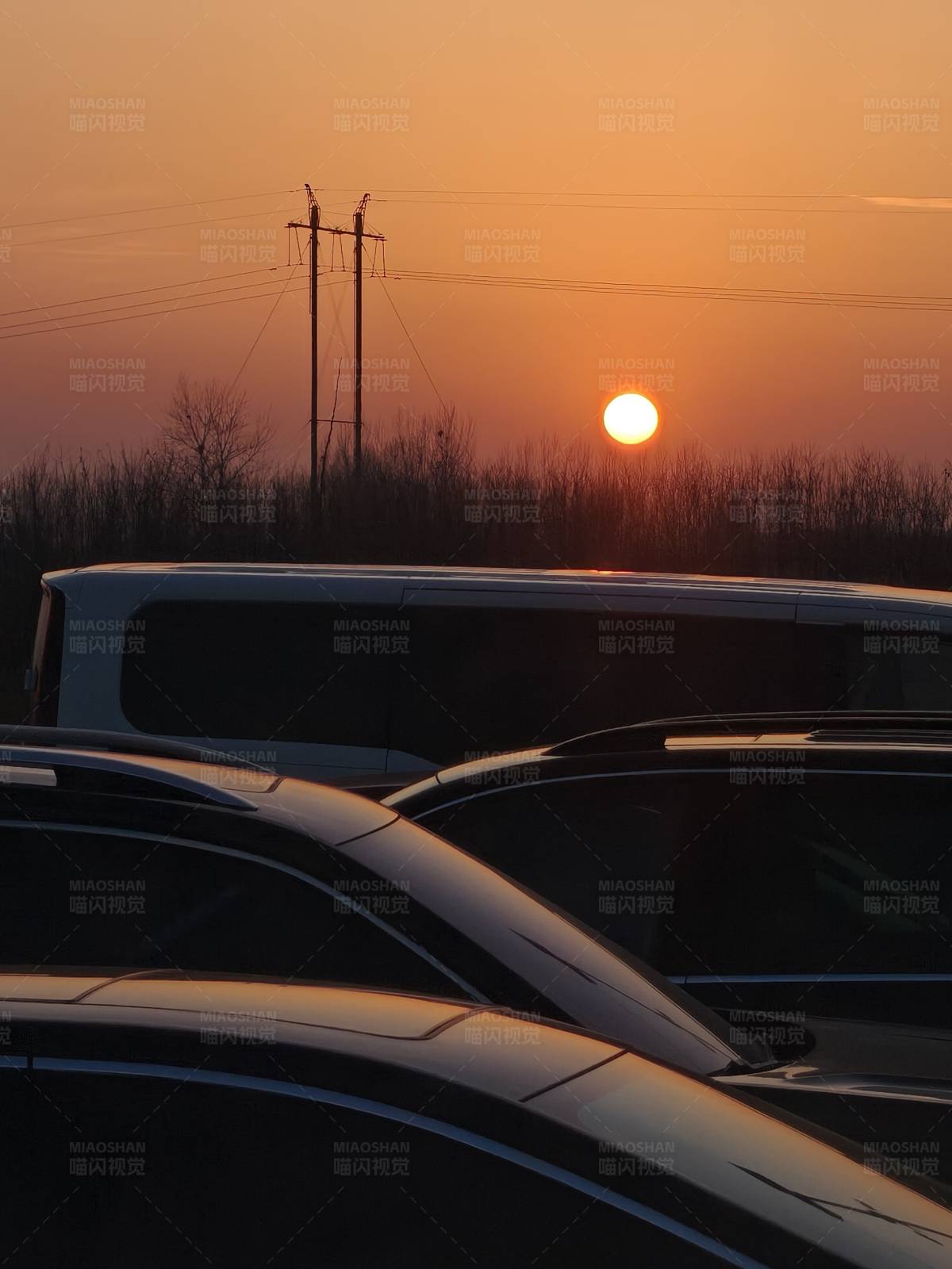 夕阳下的车流与电线杆图片