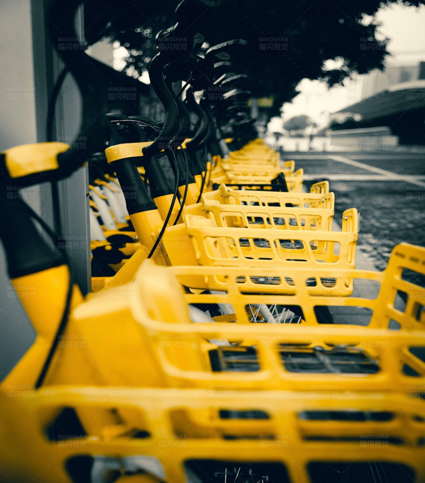 黄色自行车共享站图片