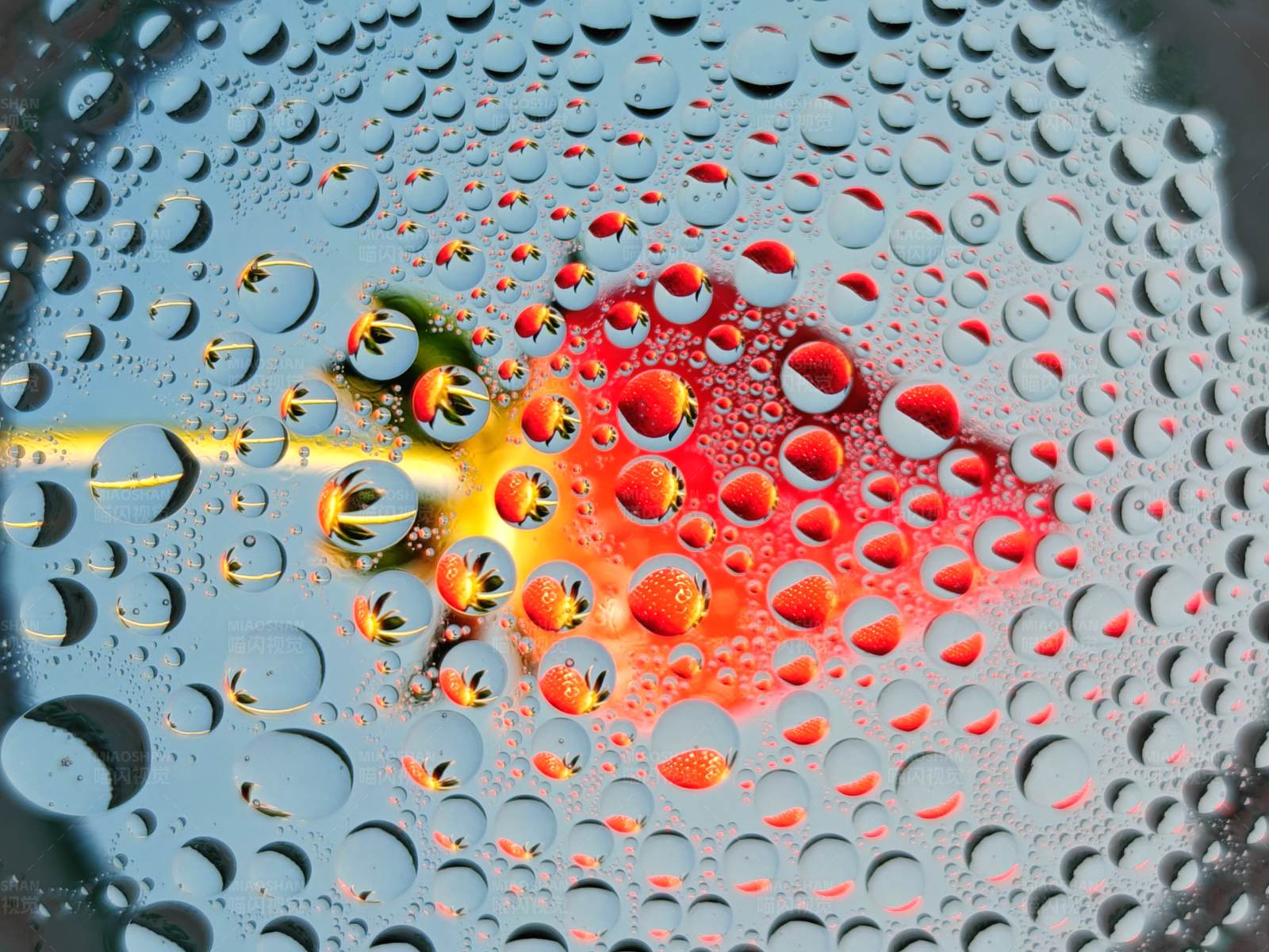 水滴中的草莓图片