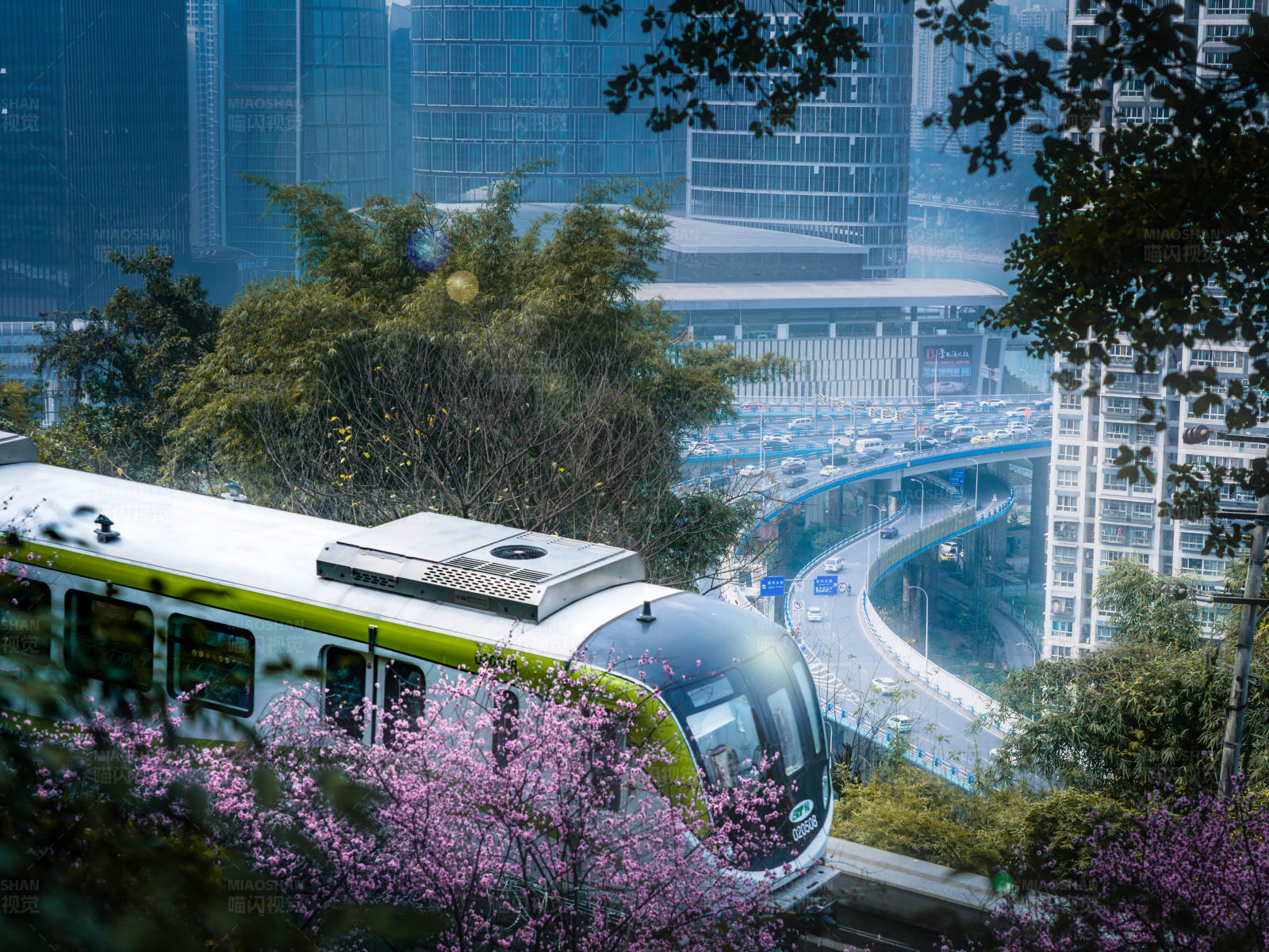 城市春日交通图片