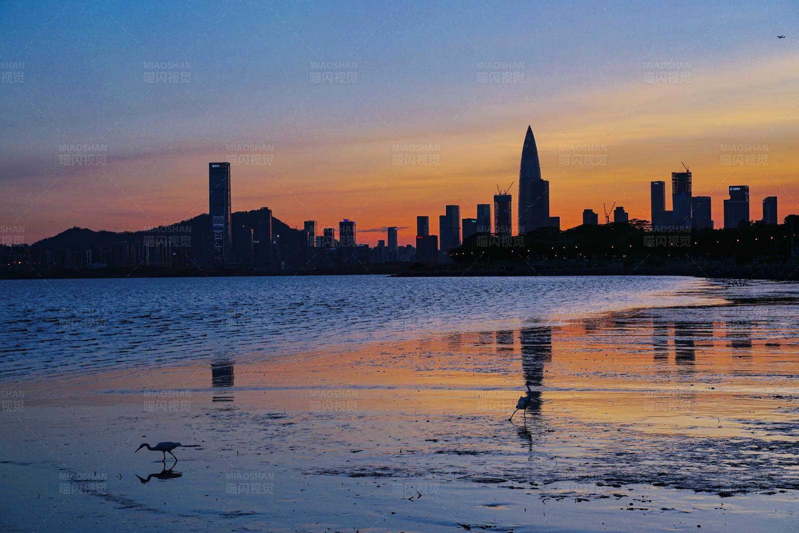 深圳湾公园的黄昏图片