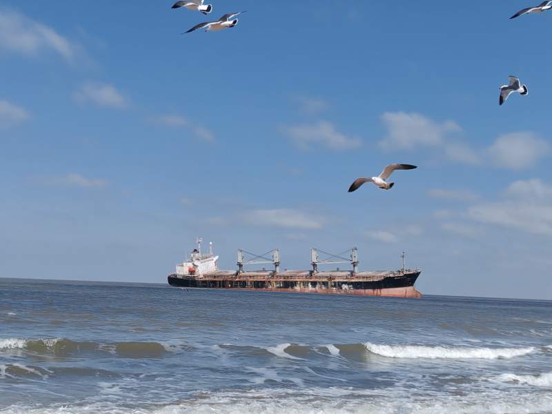 海鸥与搁浅货船图片