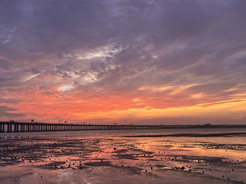 夕阳下的码头图片