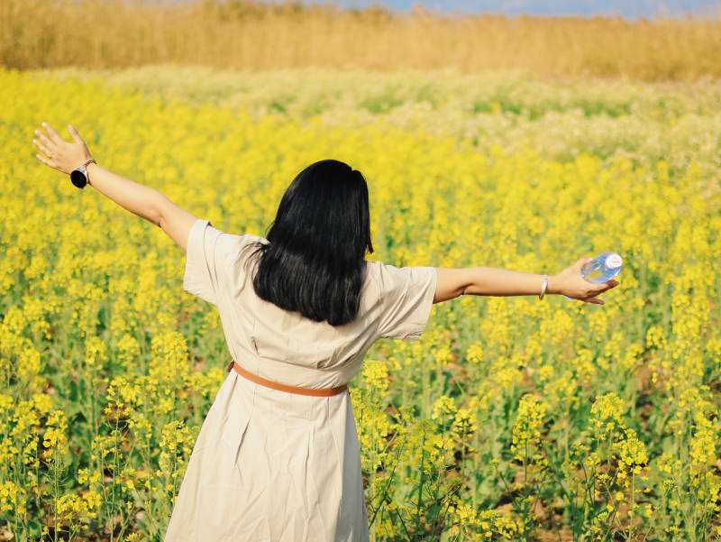 拥抱花海的自由图片
