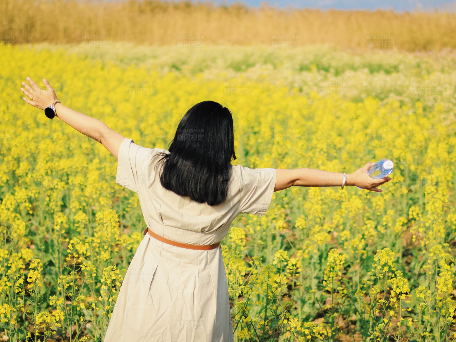 拥抱花海的自由图片