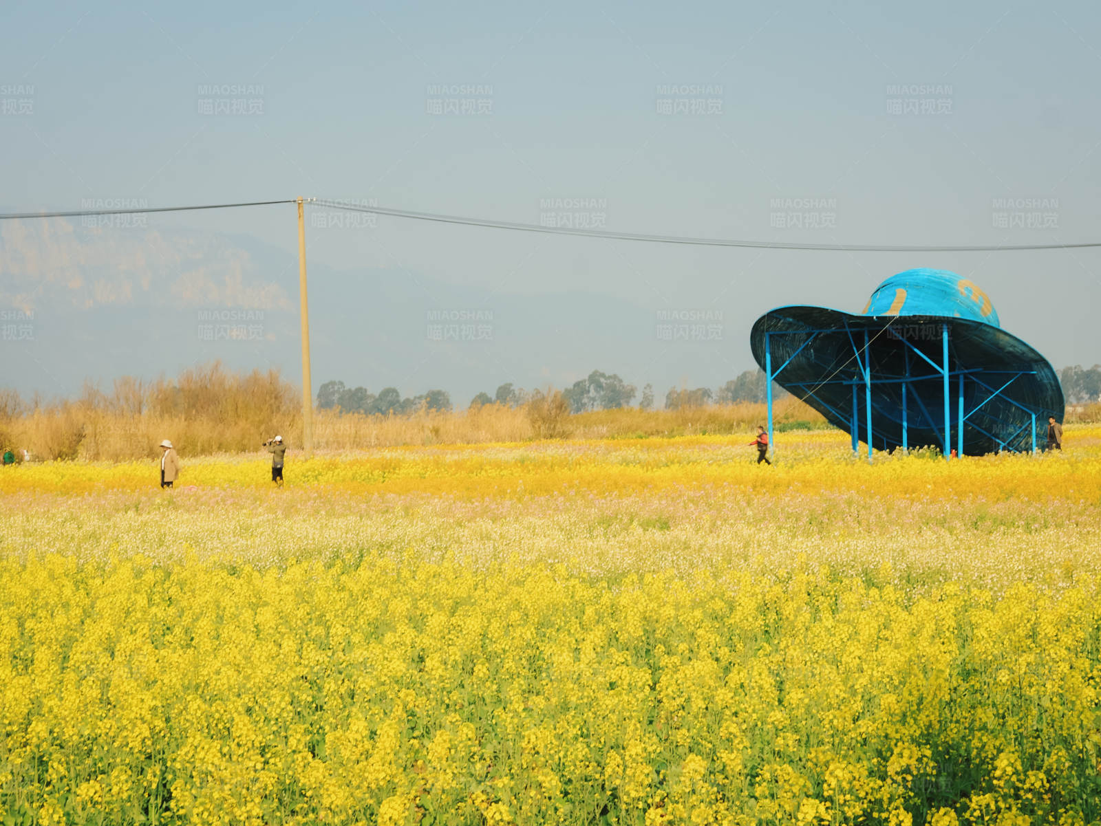 田野上的蓝色装置图片