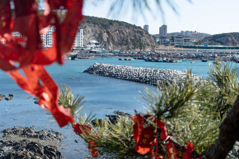 海边的红丝带与城市图片