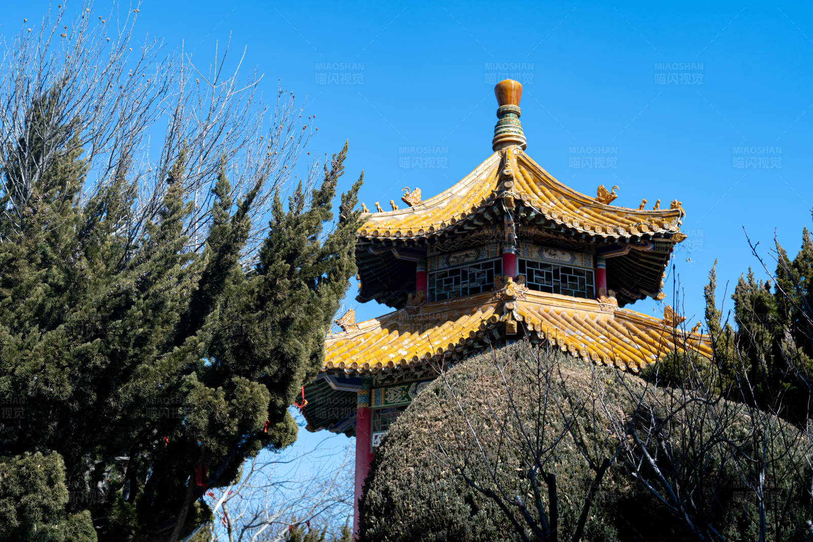 金色屋顶的中式建筑图片