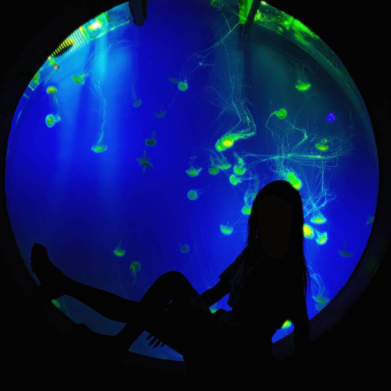 海底梦幻水母馆图片