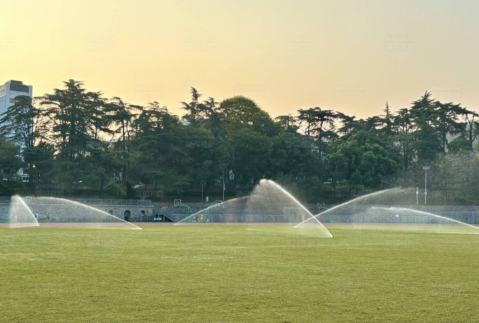 日落时分的足球场灌溉图片
