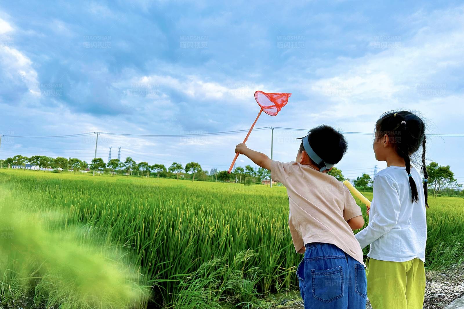 田野风筝梦图片