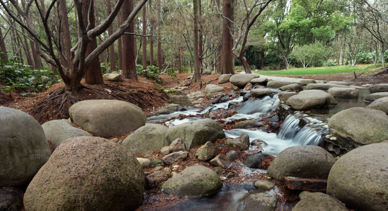 森林溪流与巨石图片