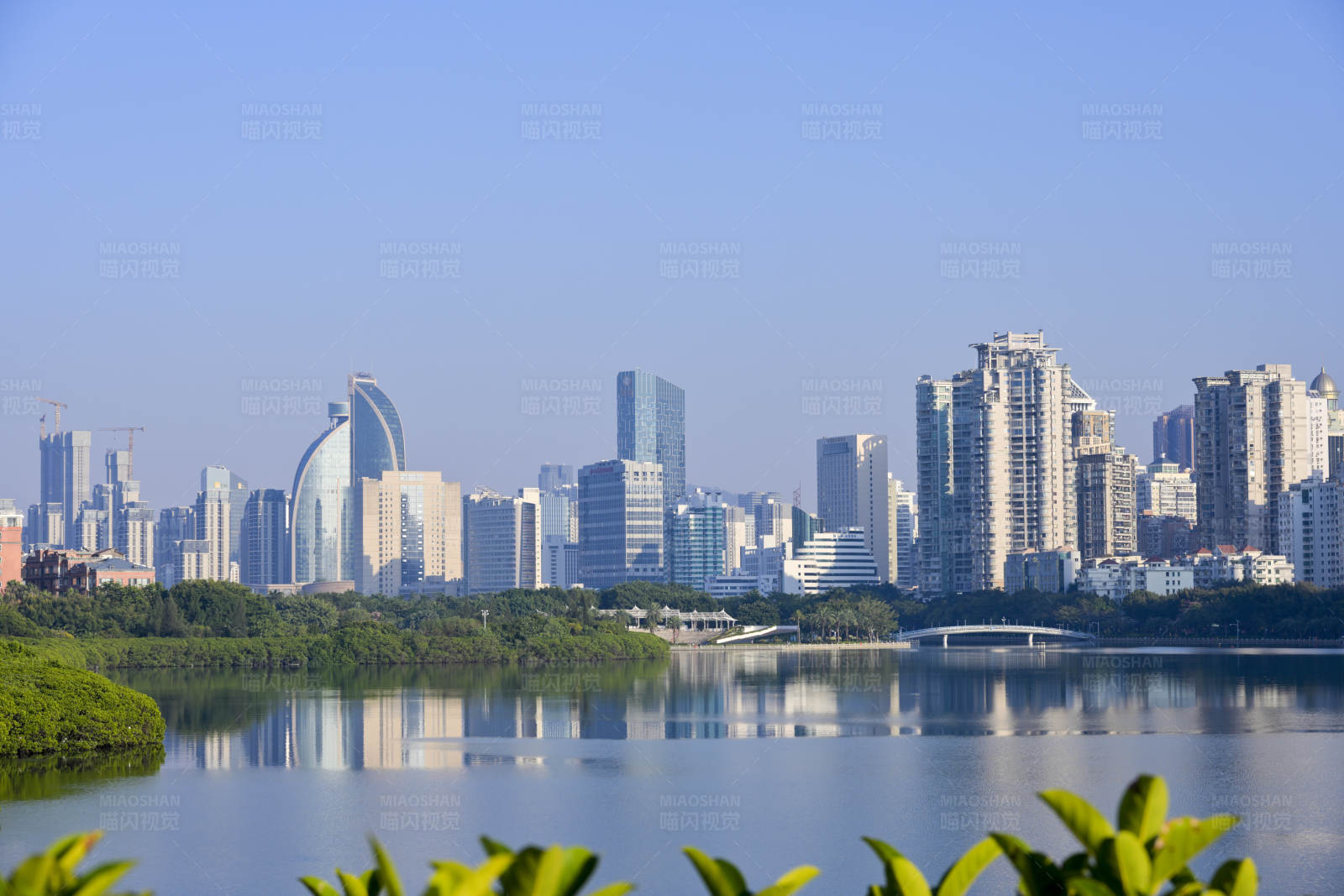 厦门城市筼筜湖湖景天际线图片