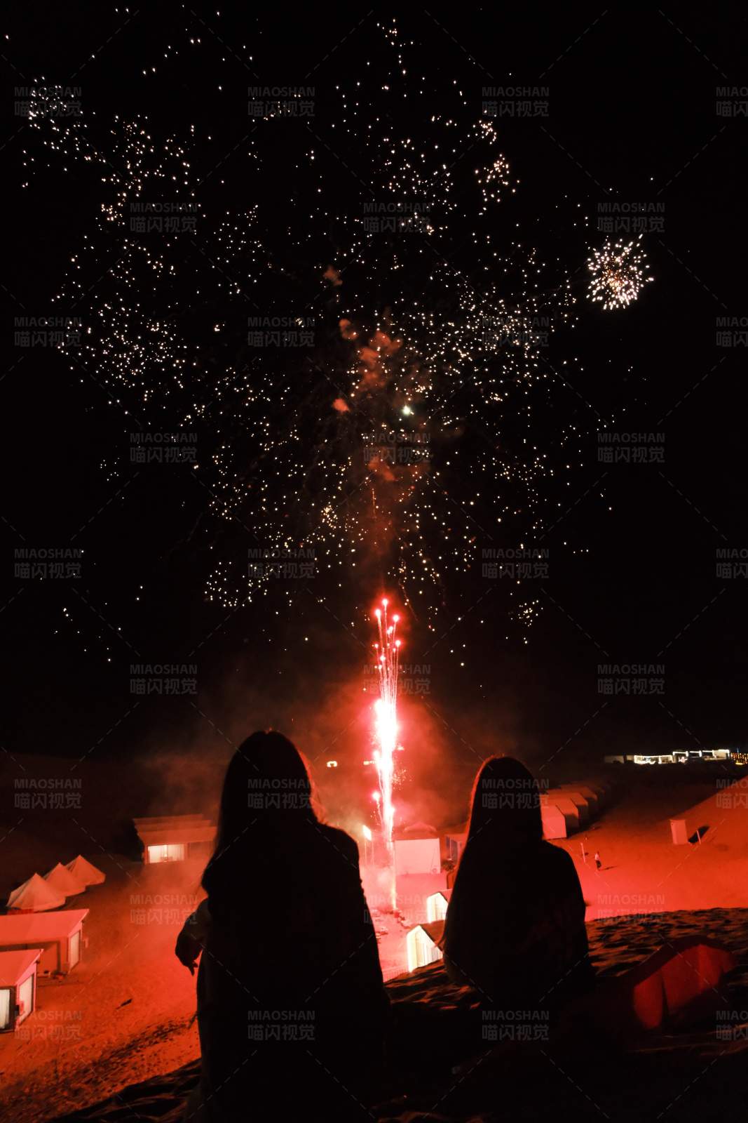 夜空下的烟花与观者图片