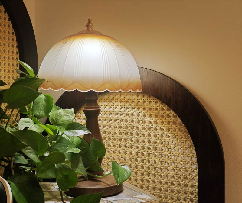 复古台灯与绿植图片