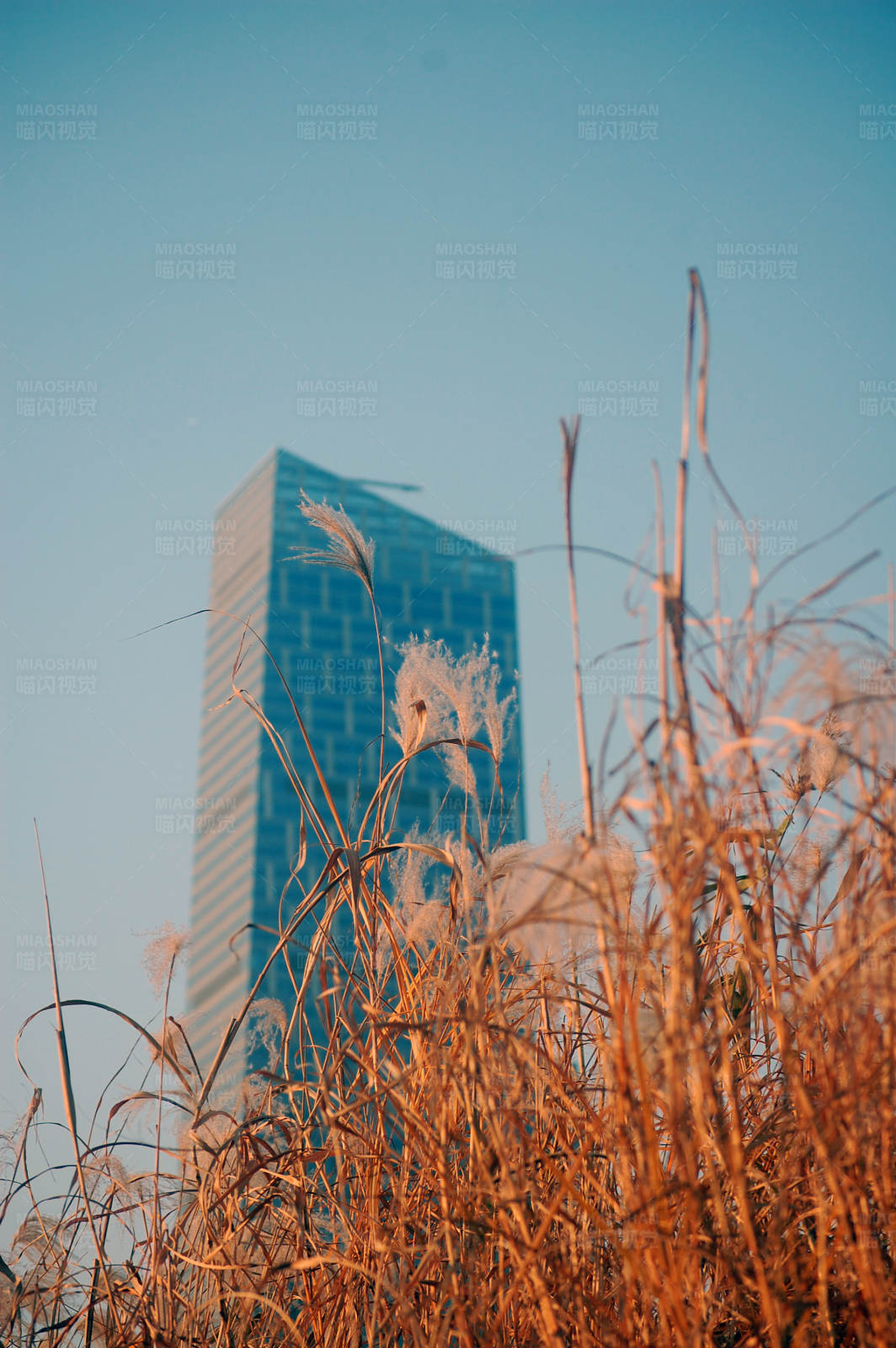 城市与自然的交汇点图片