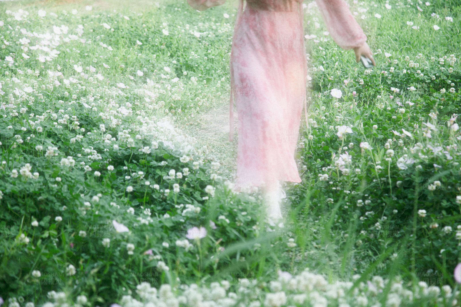 花海中的粉色身影图片