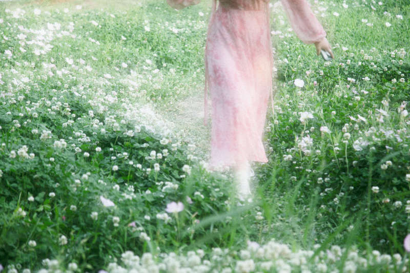 花海中的粉色身影图片