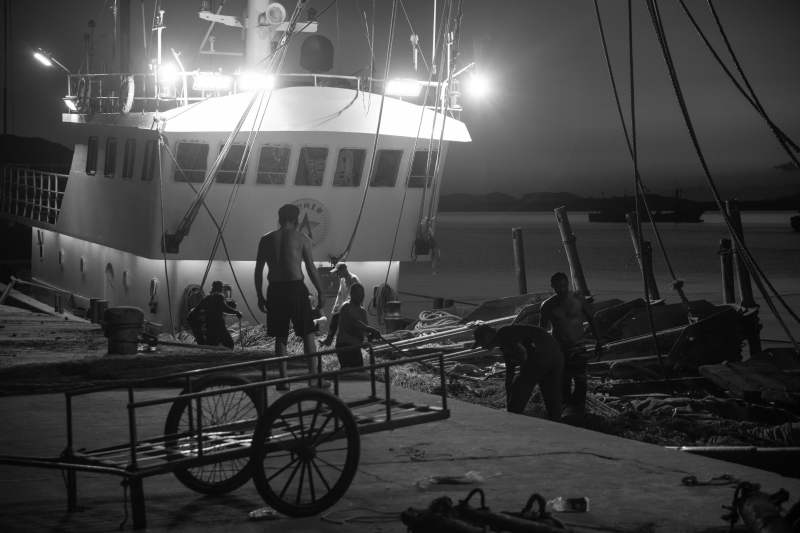 夜幕下的码头作业图片