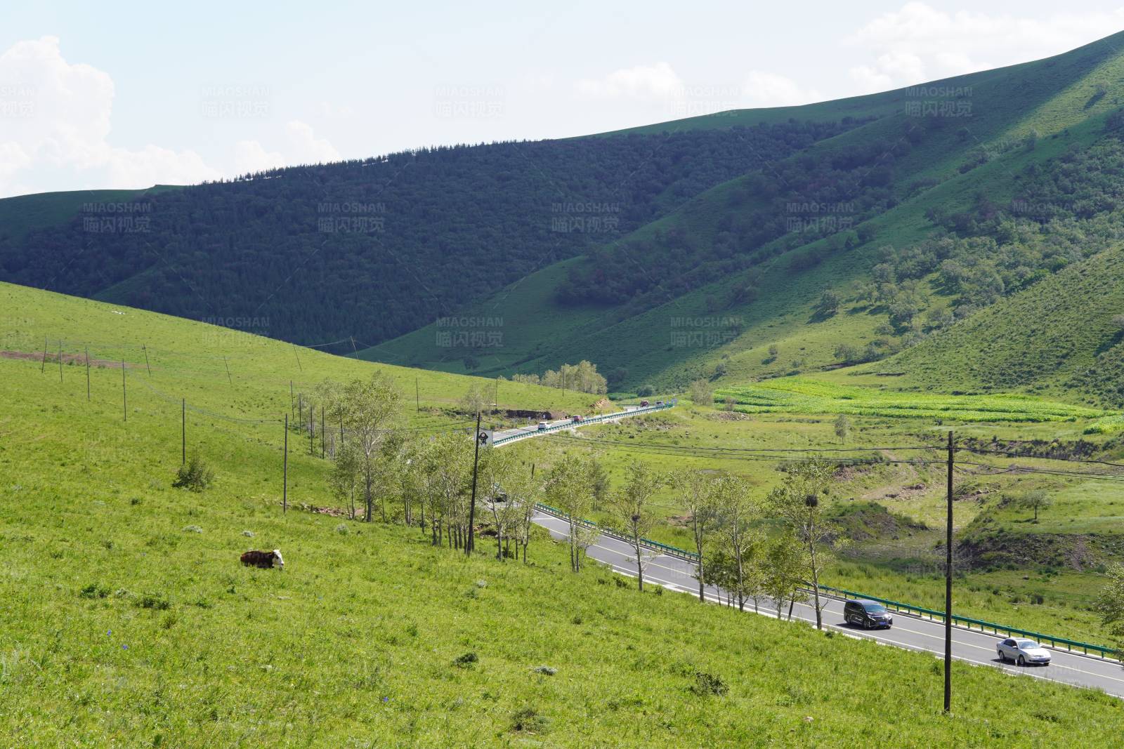 青山绿野间的公路图片