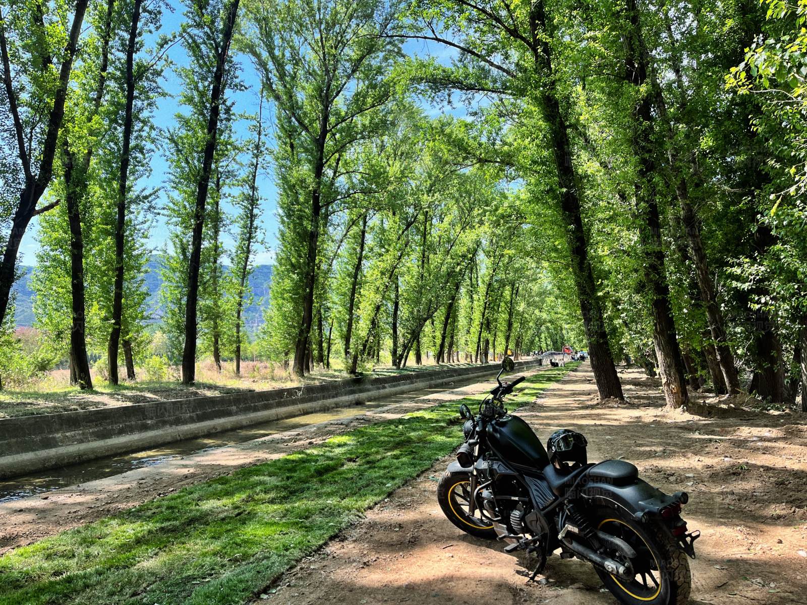 黑骑林间道图片