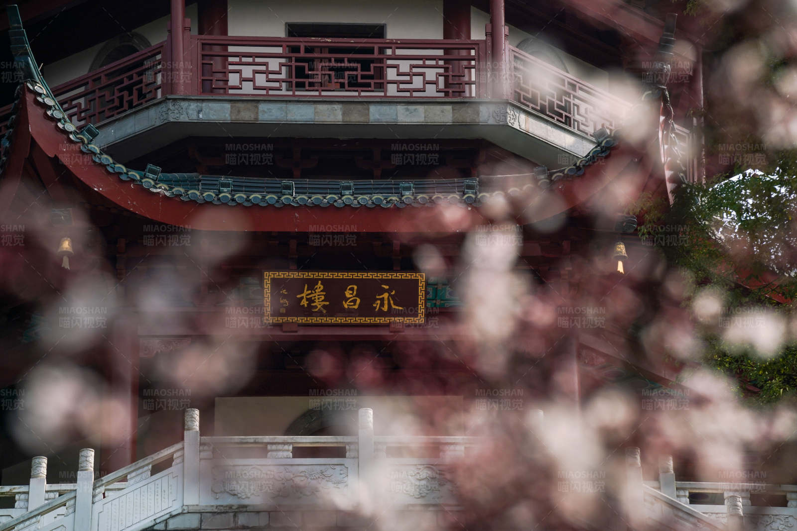 春花烂漫古楼阁图片