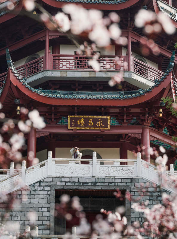 春日古楼花间景图片