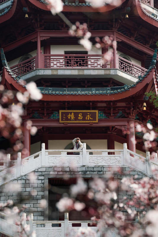 春日古楼花间景图片