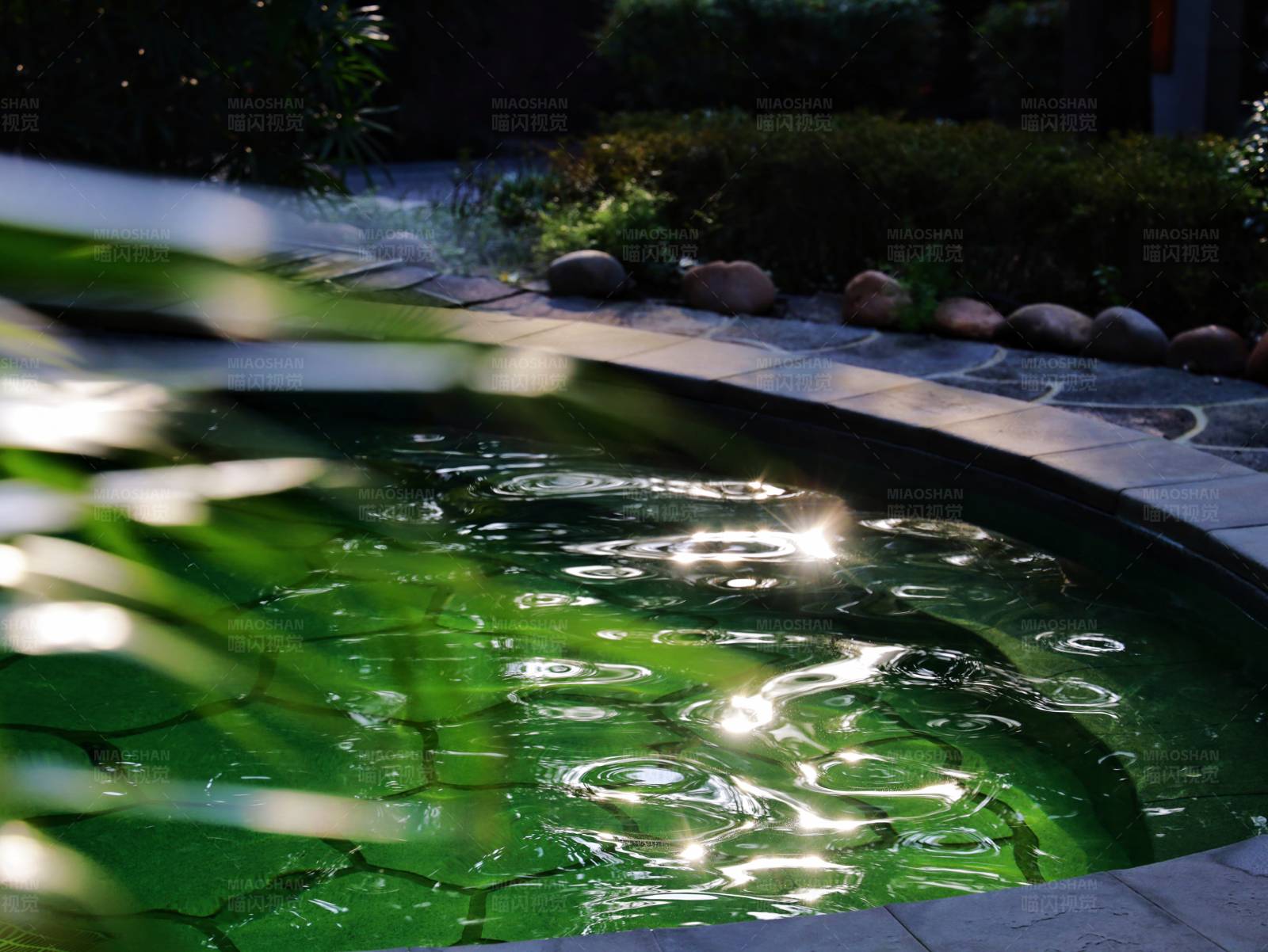 夜色中的绿色泳池图片