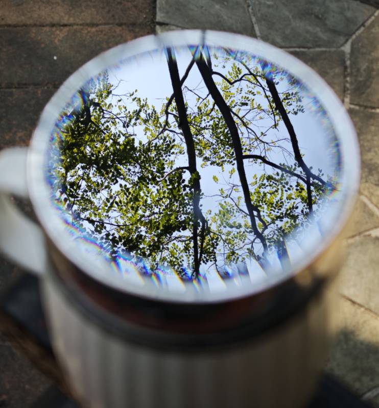 杯中森林倒影图片