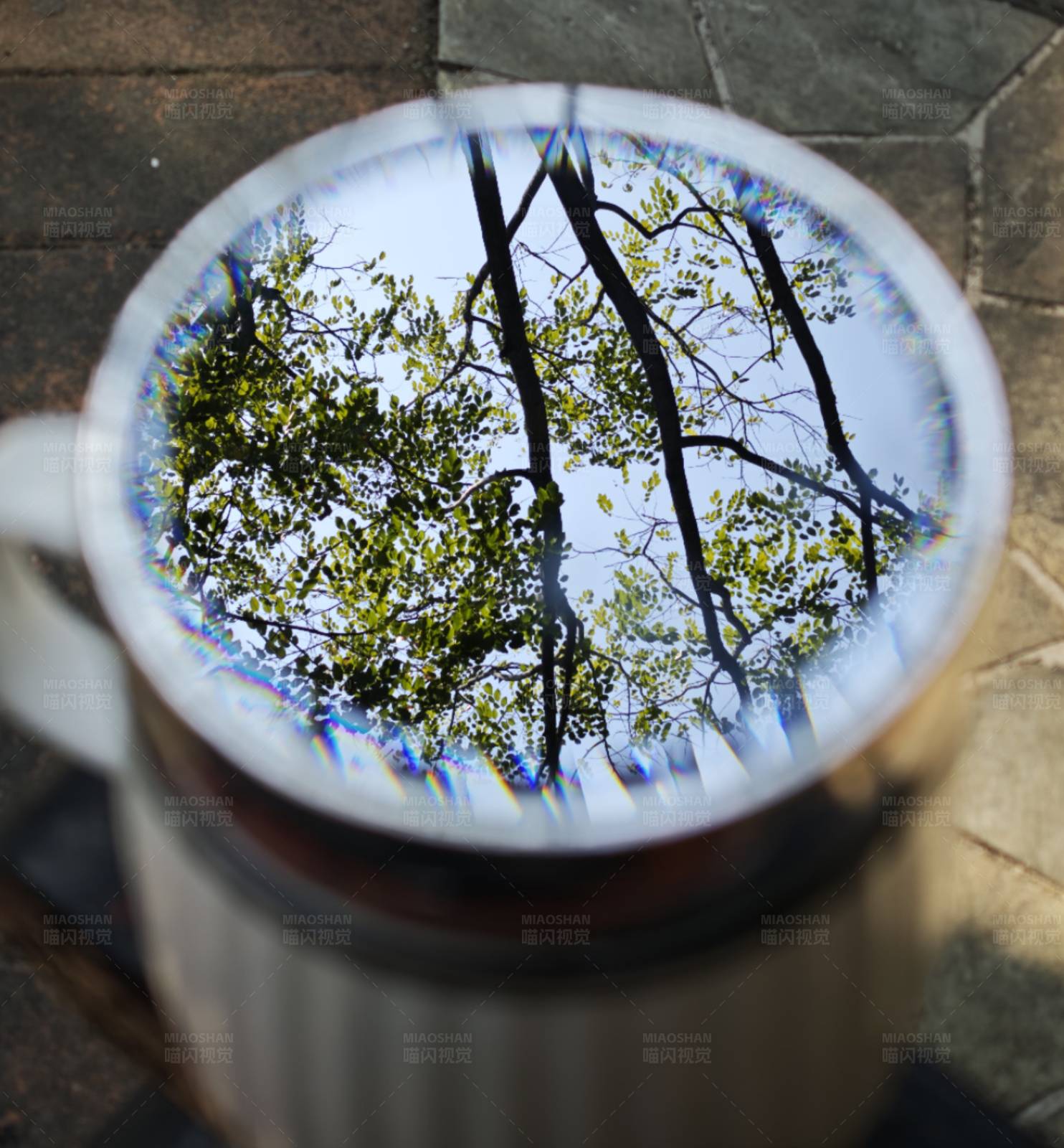 杯中森林倒影图片