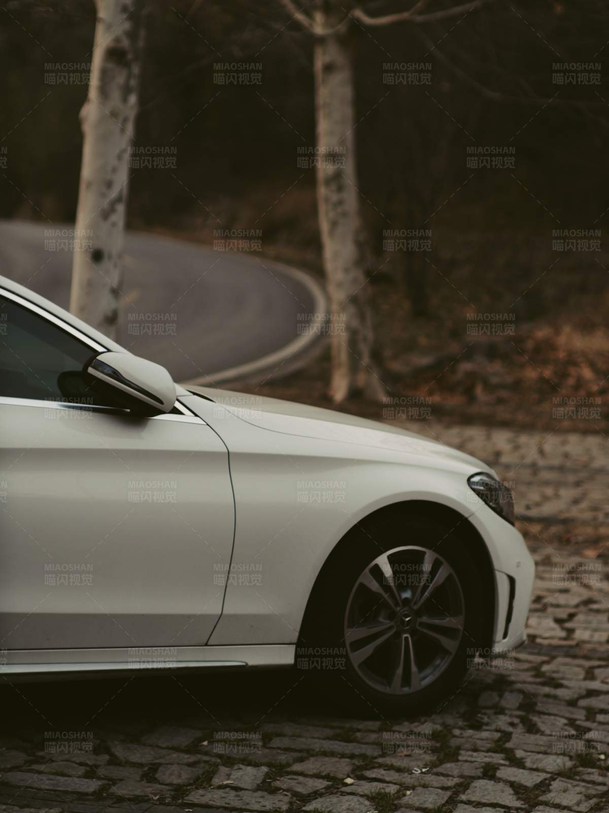 白色轿车在林间小路图片