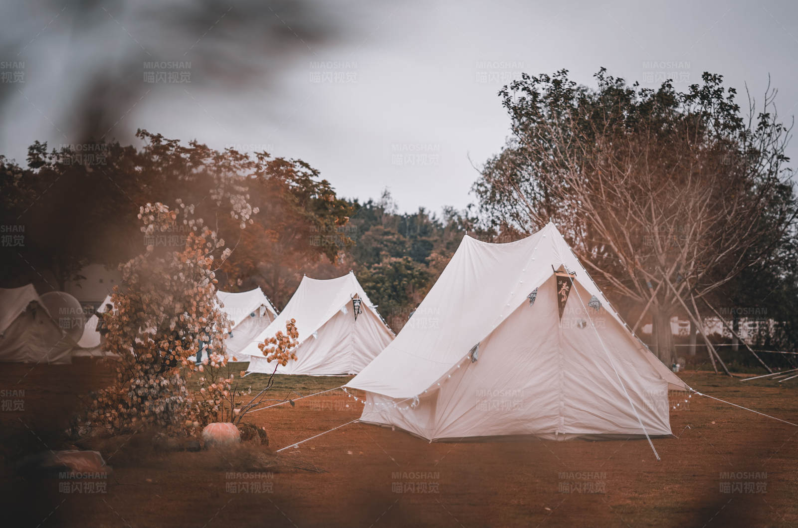 露营帐篷区图片