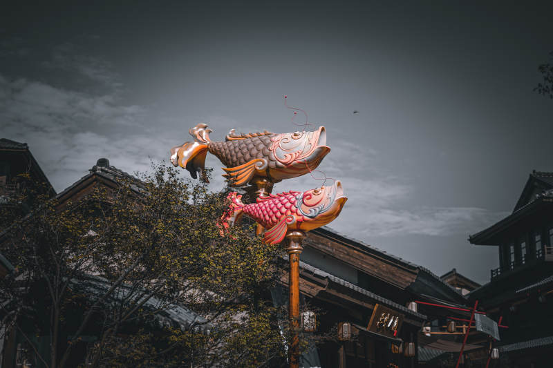 鲤鱼跃龙门图片