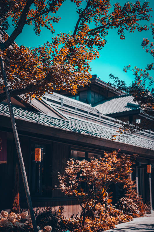 秋日古街景图片