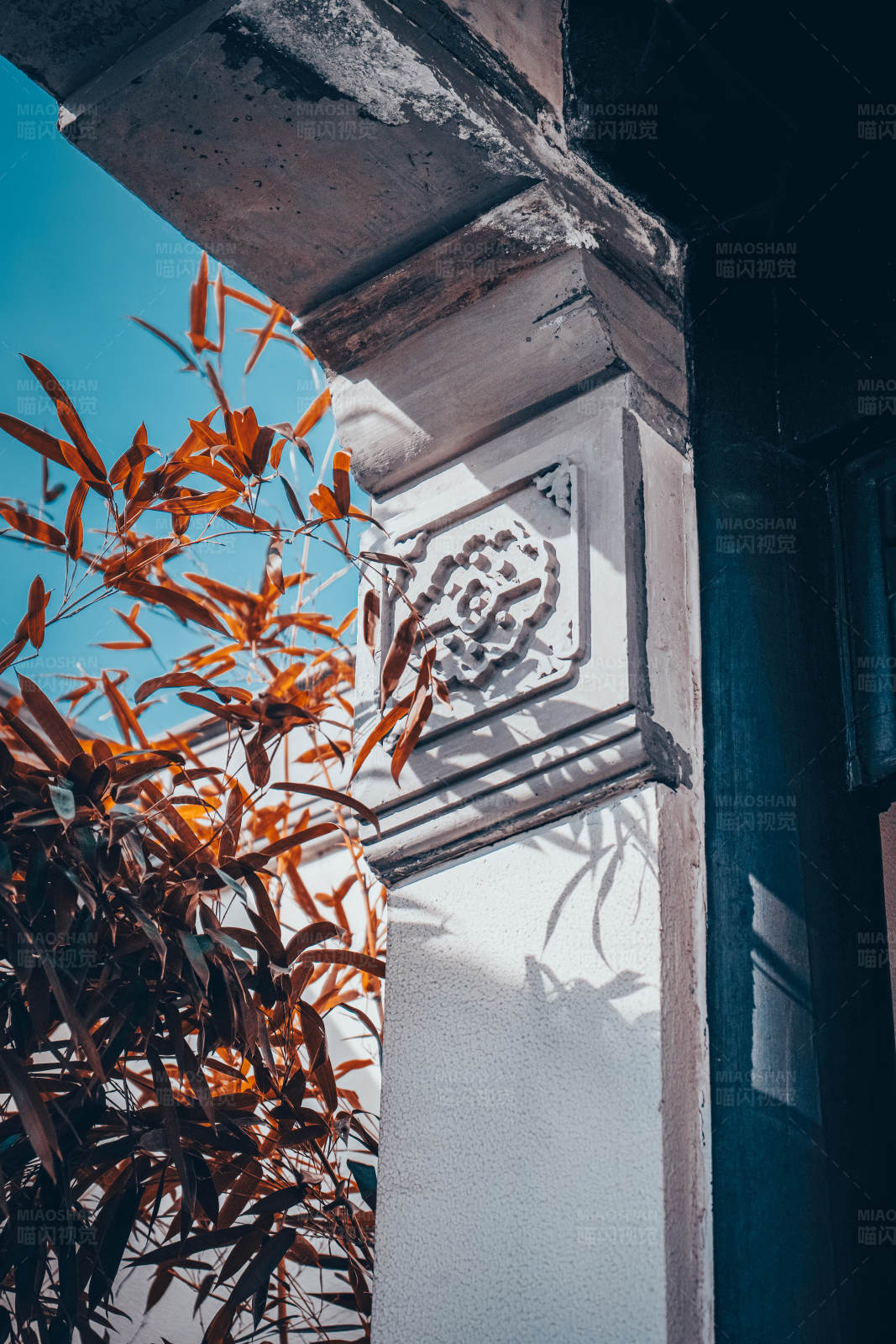 秋叶映衬古建筑图片