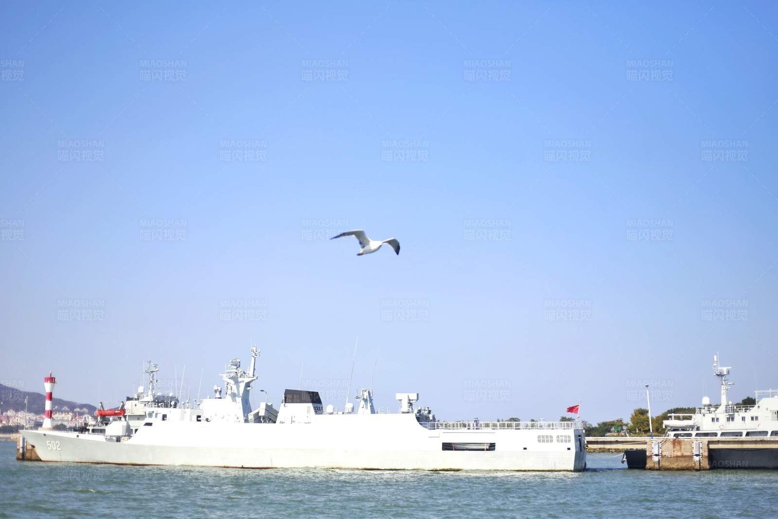 海鸥与军舰图片