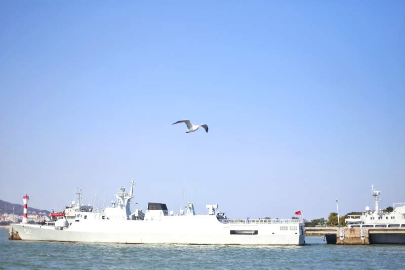 海鸥与军舰图片