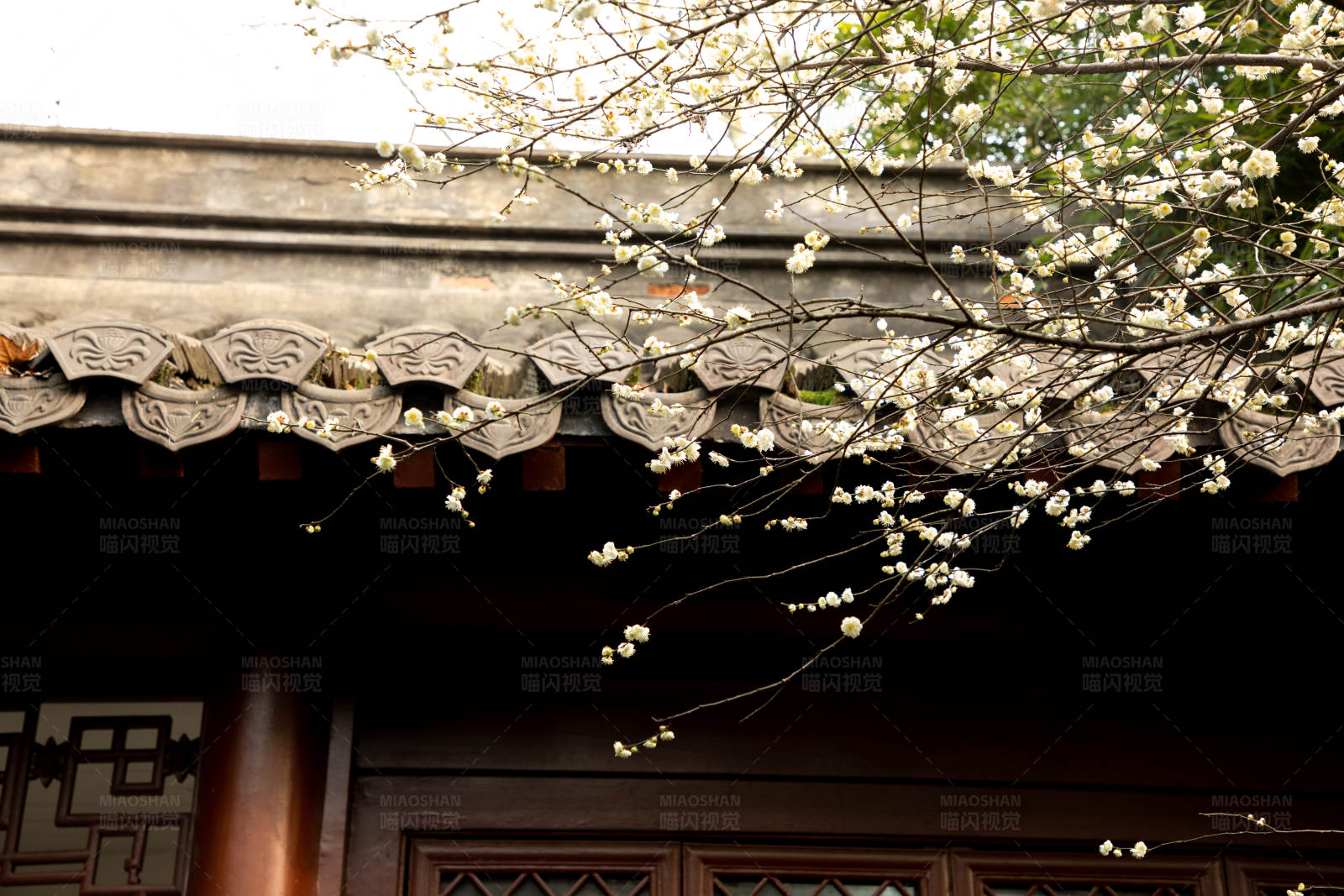 春花古屋檐图片