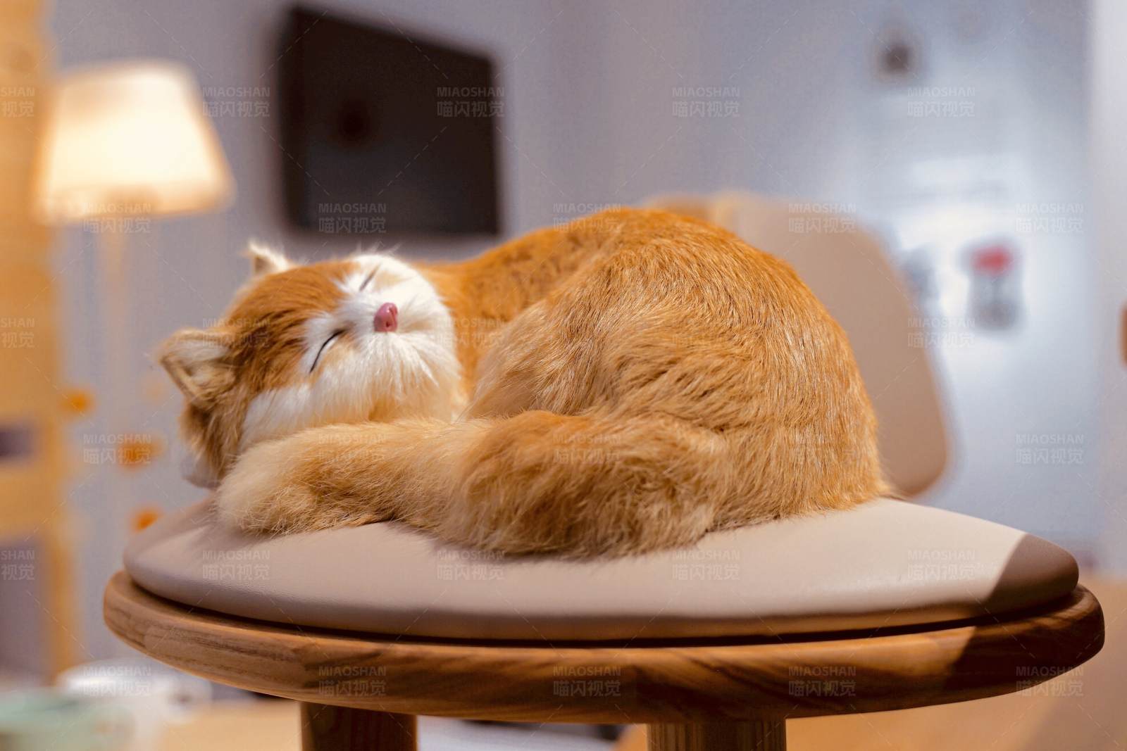 玩具猫咪安睡图片