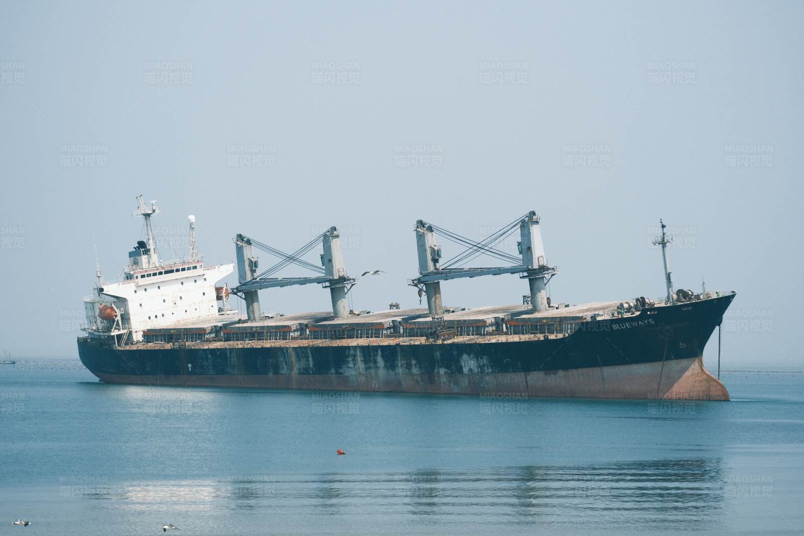 海上货轮图片