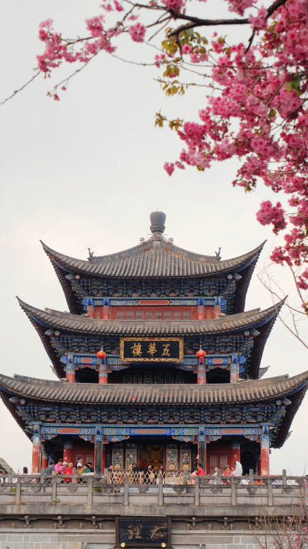 春日古塔花满天图片