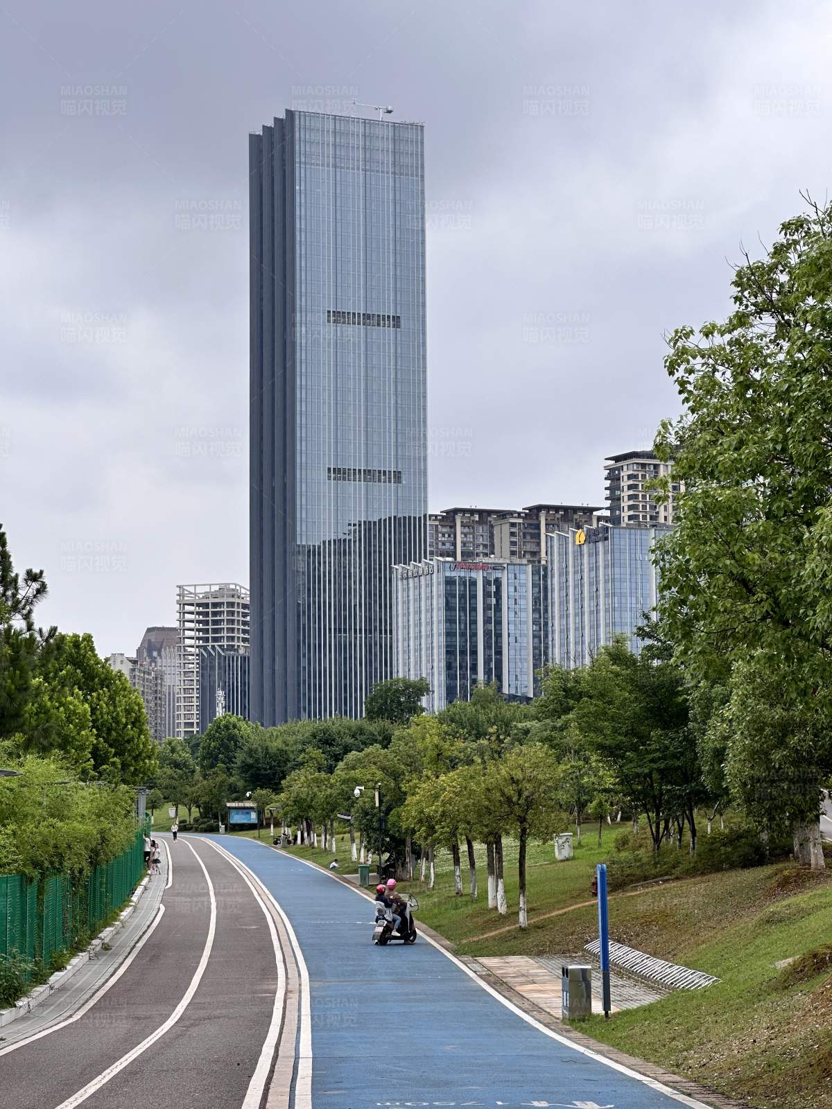 城市绿道与高楼图片