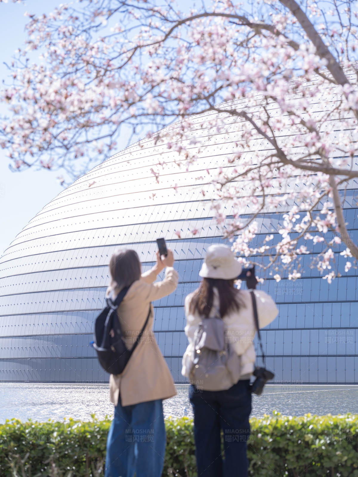 春日赏花拍纪念照图片