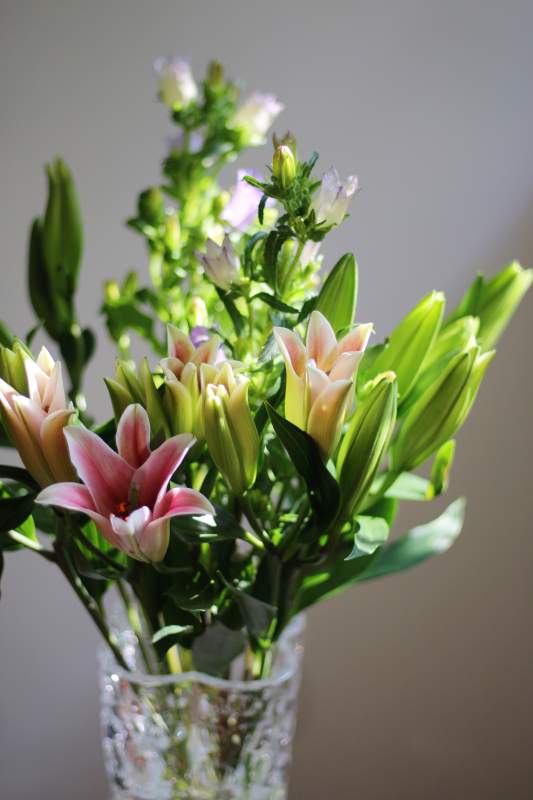 花瓶中的粉色百合花束图片