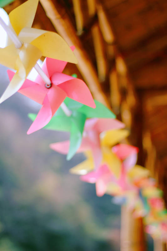 彩色风车装饰图片