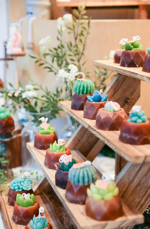 多肉植物蜡烛展示图片