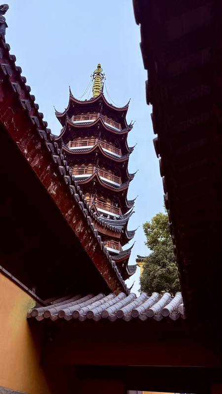 南京鸡鸣寺古塔隐现于建筑之间图片