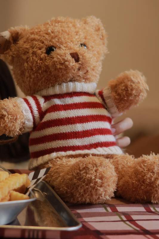 穿条纹衫的泰迪熊图片