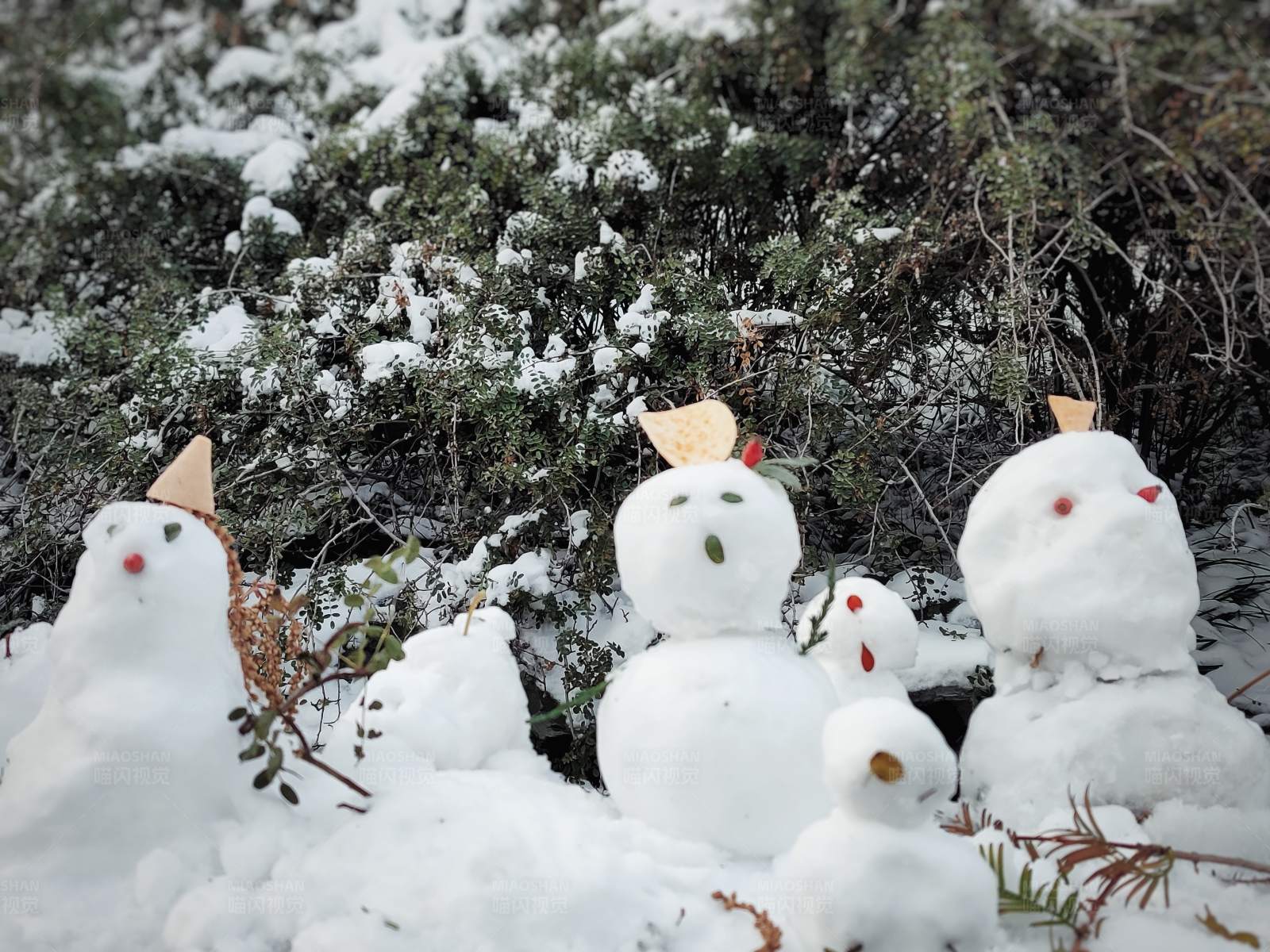 雪地里的雪人家庭图片